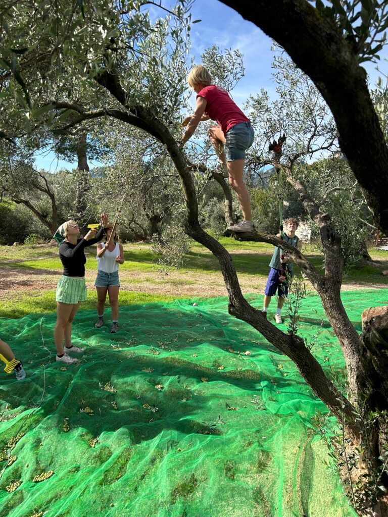 Helping Hands During the Harvest
