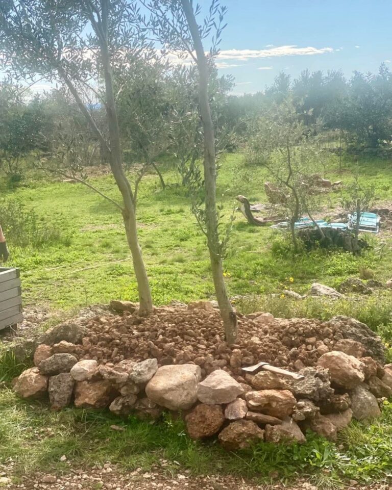 After the rain, we begin again