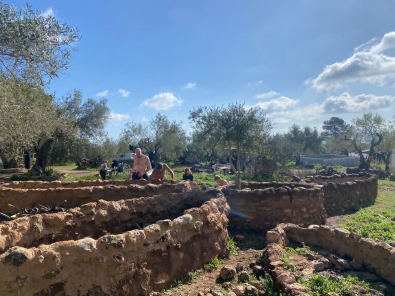 The Life Flower is rising — one sacred bed at a time